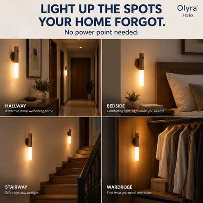 Olyra Halo — Cordless Wall Light in Solid Walnut