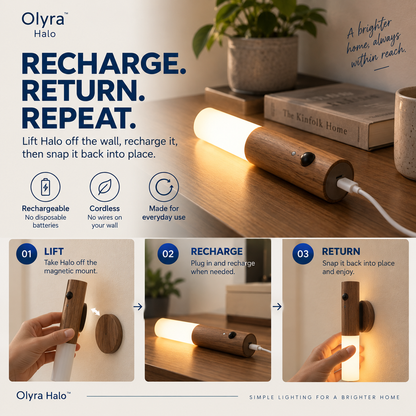 Olyra Halo — Cordless Wall Light in Solid Walnut